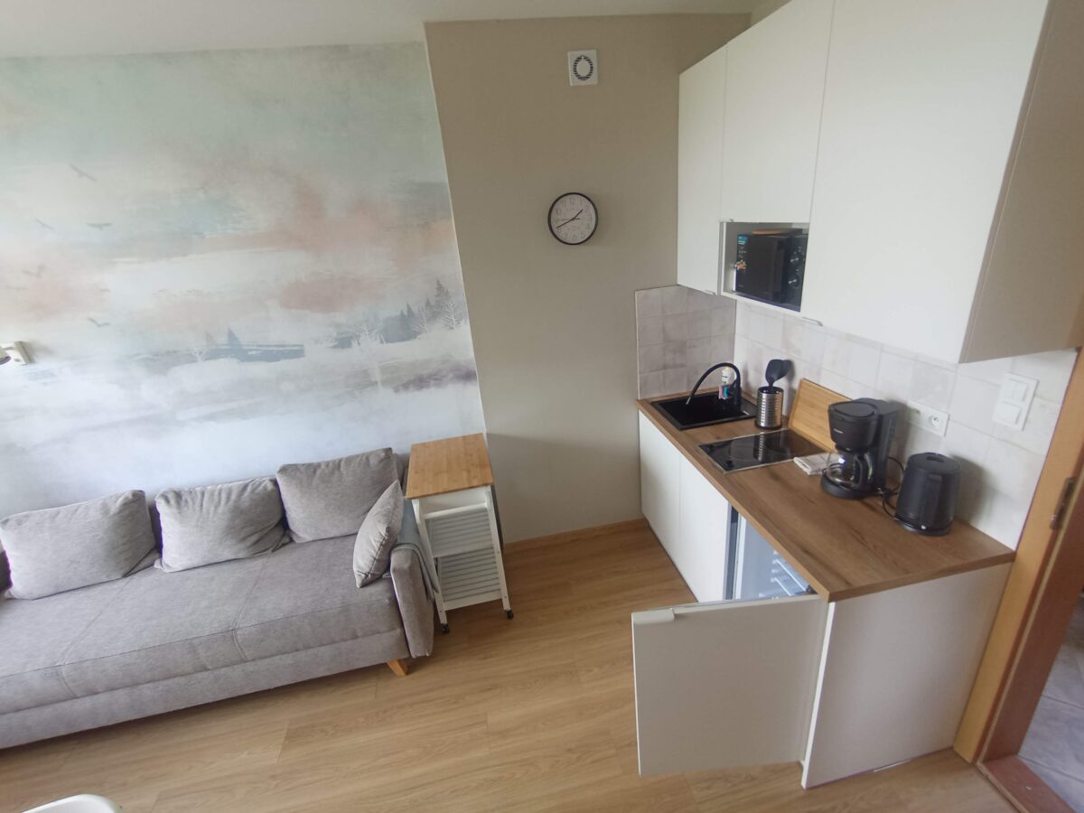 Apartament nr 3 dwupokojowy z kuchnią i łazienką - KAMERALNY